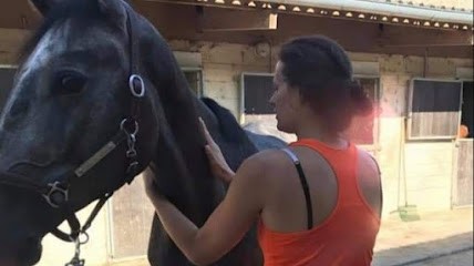 Ostéopathe Animalier Alix Histre, Ėquins, Bovins, Chiens, Chats, Oiseaux, NAC, Ostéopathe à Férolles