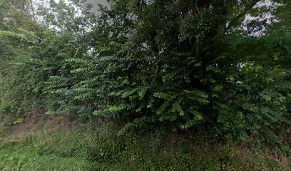 Mathieu Claire, Ostéopathe à Forgues