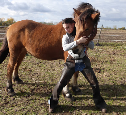 Ostéopathe Animalier Alexandra Rogelet, Ostéopathe à Cognac