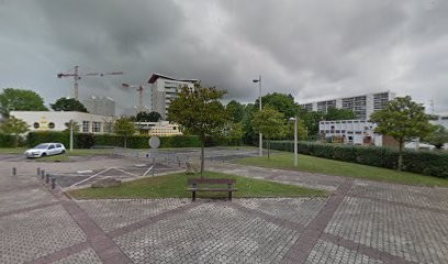 DE MENEZES Cécile, Ostéopathe au Grand-Quevilly