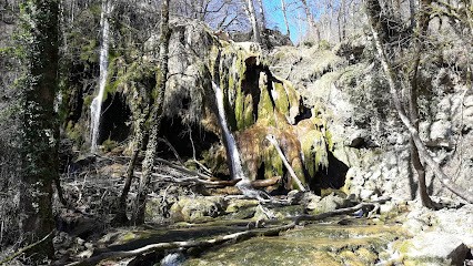 Osteopath Animal Gaelle Badoy : Cats And Dogs, Ostéopathe à Virieu-le-Grand
