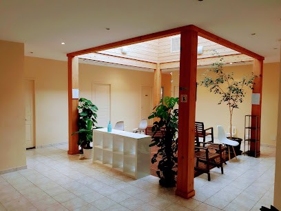 Osteopathe- Camboulives, Ostéopathe à Montferrier-sur-Lez