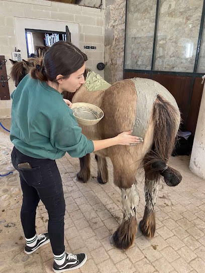 L'essence Animalière - Ostéopathie Et Autres Thérapies Animales, Ostéopathe à Beaucaire
